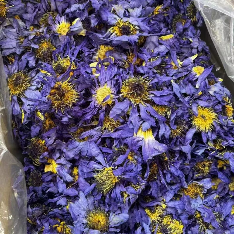 Flor de lótus natural flores s - Candle Making And Perfume avaliação e preço