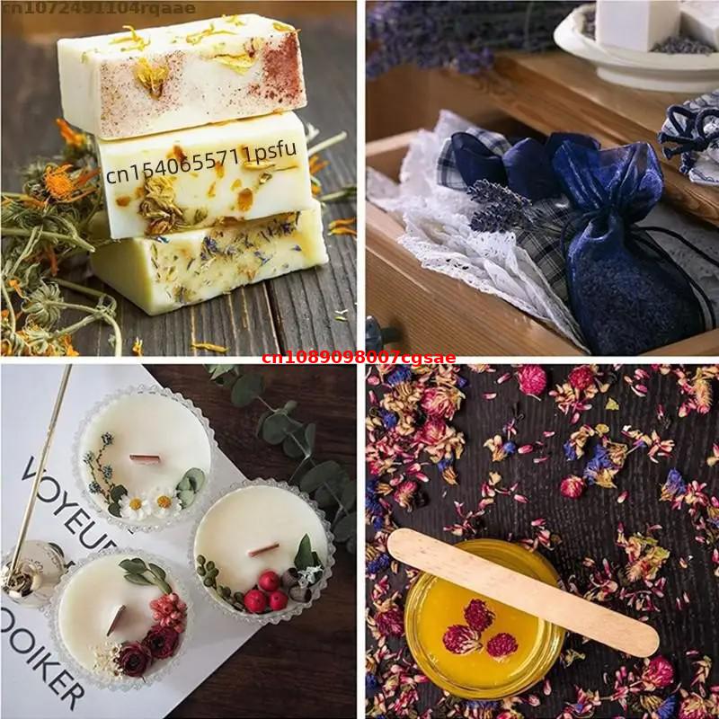 Materiais de flores secas natu - Candle Making And Perfume avaliação e preço