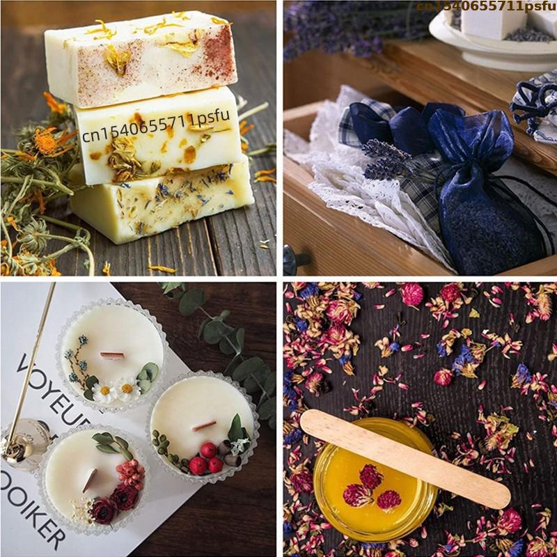 4 tipos de botões de rosa natu - Candle Making And Perfume avaliação e preço